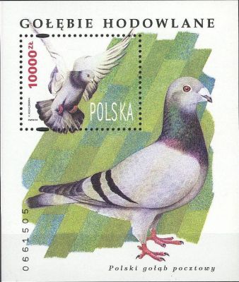 3367 Blok 156 czysty** Gołębie hodowlane