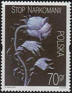 3680 czyste** Stop narkomanii