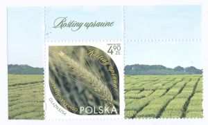 5458 przywieszka z prawej strony czysty** Rośliny uprawne