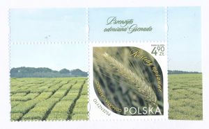 5458 przywieszka z lewej strony czysty** Rośliny uprawne
