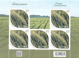 5458 Arkusik czysty** Rośliny uprawne