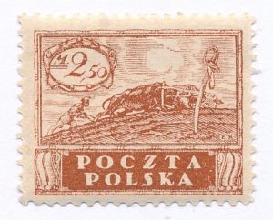 0095 B x brązowopomarańczowy czysty** Wydanie w walucie markowej