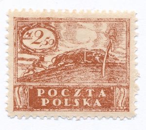 0095 B y brązowopomarańczowy czysty** Wydanie w walucie markowej